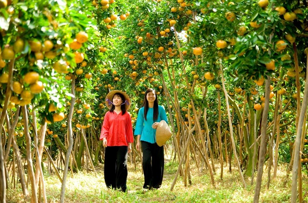 tour-du-lich-ha-giang-mien-tay2