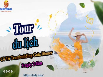 tour-du-lich-co-to-teambuilding-gala-dinner-3-ngay-2-dem9