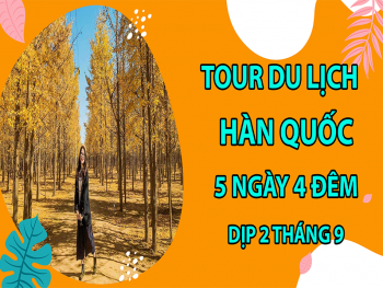 tour-du-lich-han-quoc-5-ngay-4-dem-dip-2-thang-9-7