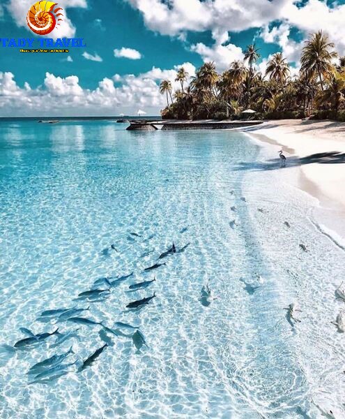 tour-du-lich-maldives-5-ngay-4-dem-tet-nguyen-dan-2023-2024-2025-7