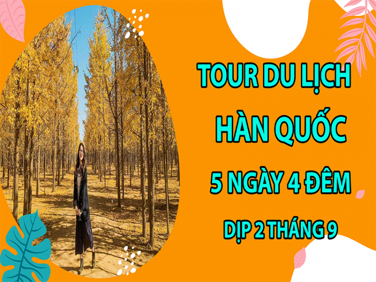 tour-du-lich-han-quoc-5-ngay-4-dem-dip-2-thang-9-7