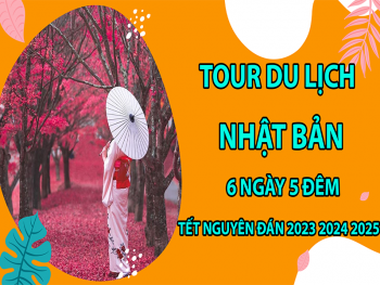 tour-du-lich-nhat-ban-6-ngay-5-dem-tet-nguyen-dan-2023-2024-2025-3